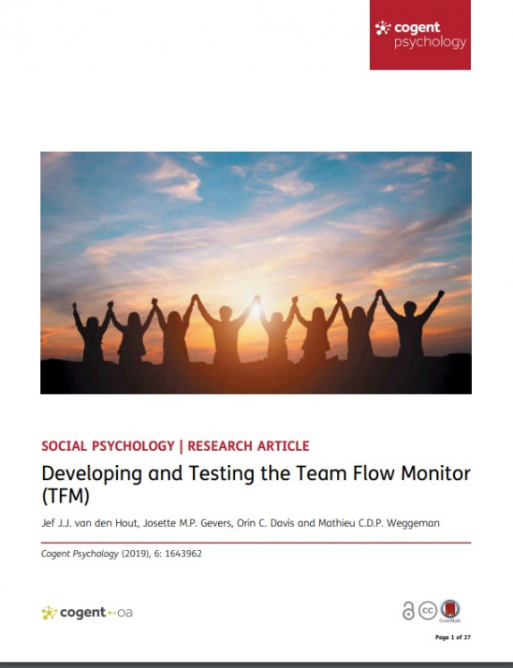 Developing and Testing the Team Flow Monitor